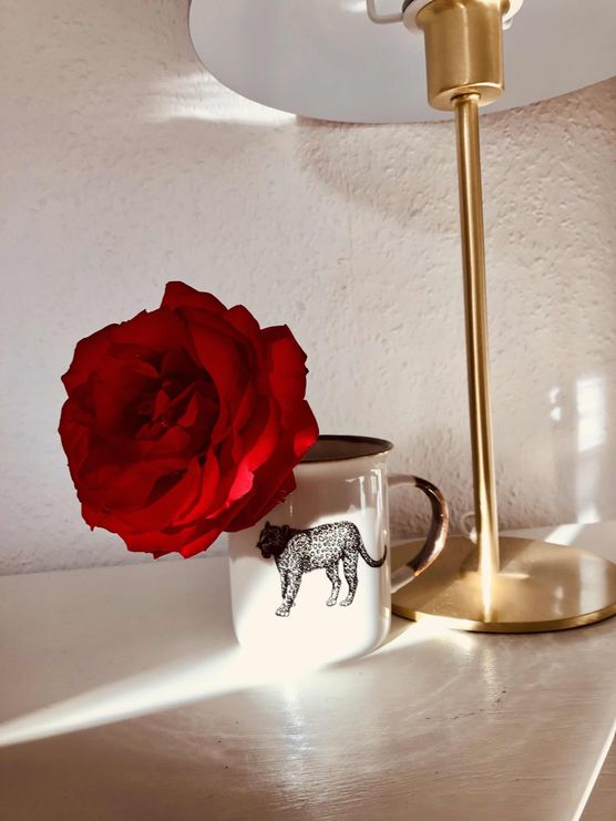 Bild von Minna Bild von Minna