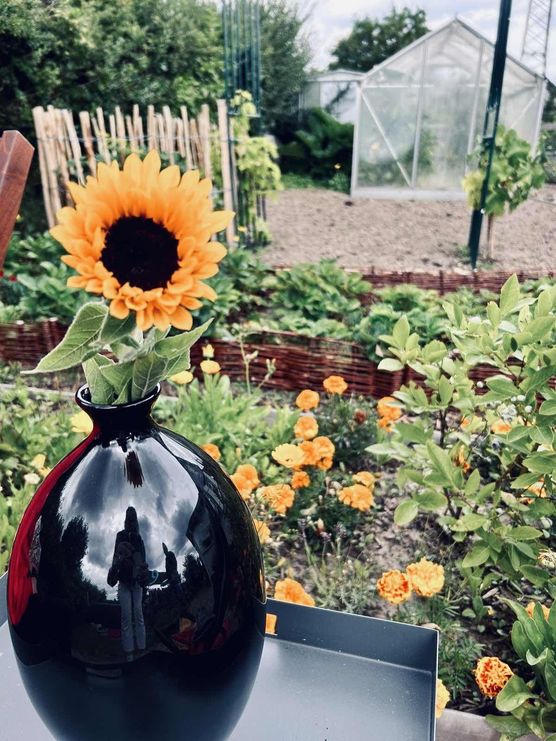 Bild von Minna Bild von Minna