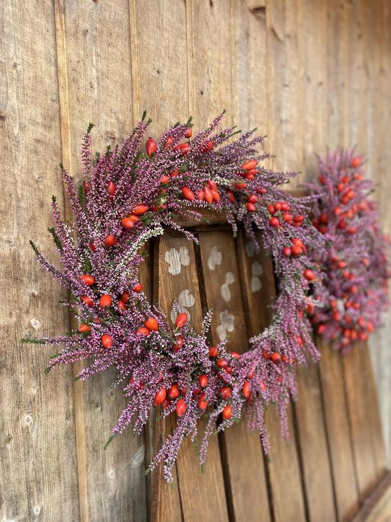 Bild von Ani Ka4 Bild von Ani Ka4