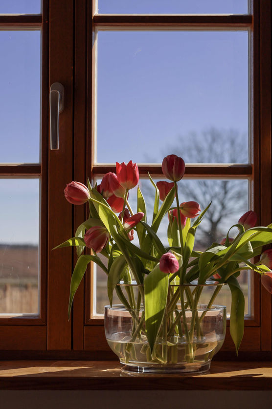 Bild von 120qm.happiness Bild von 120qm.happiness