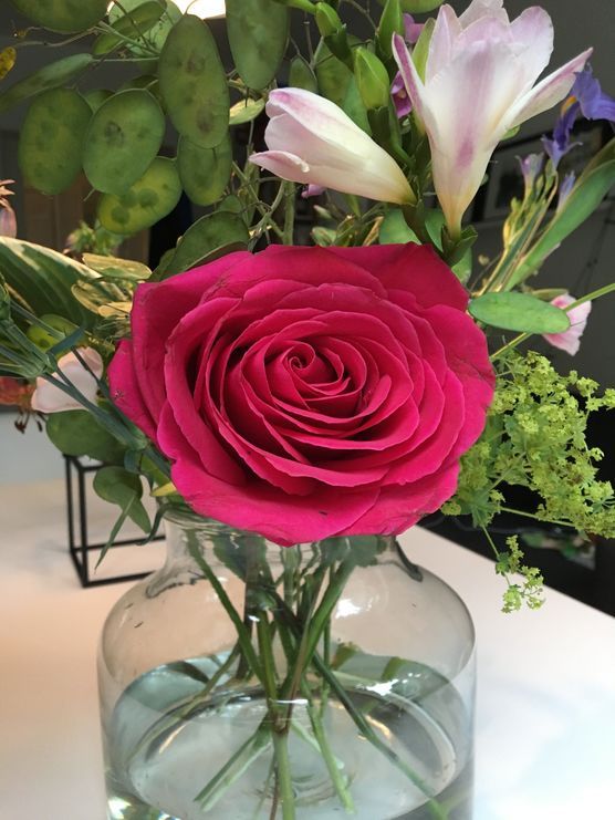 Heute bekam ich mal Heute bekam ich mal