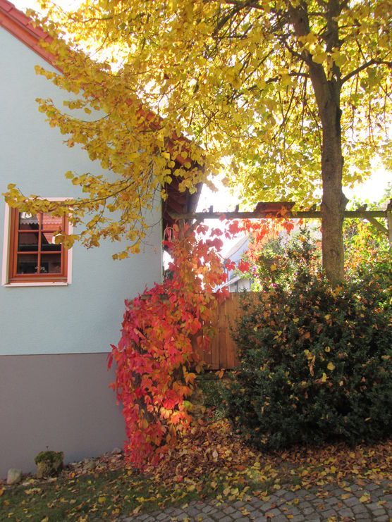 Goldener Herbst und .... Goldener Herbst und ....