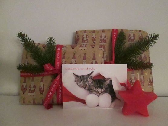 Meine Wichtel waren für ? ? ? ? ? ? ? fleißig am werkeln Meine Wichtel waren für ? ? ? ? ? ? ? fleißig am werkeln