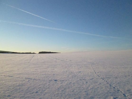 So weit...... So weit......