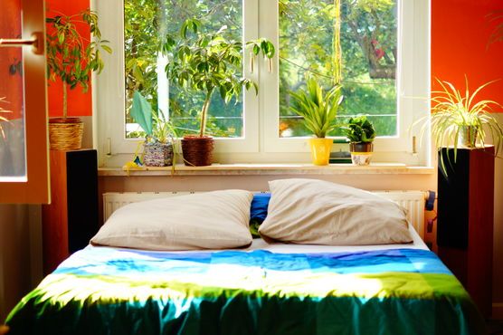 Das Innentrampolin und Gästebett Das Innentrampolin und Gästebett