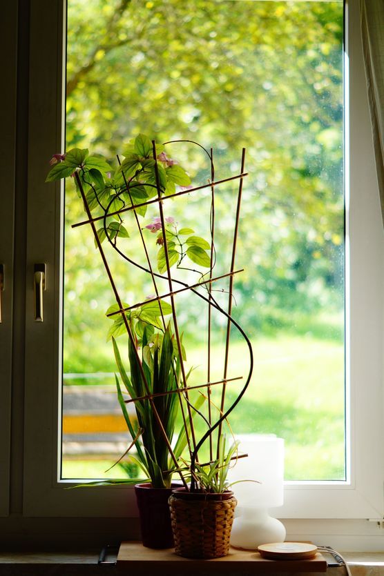 Schlafzimmerfenster Schlafzimmerfenster