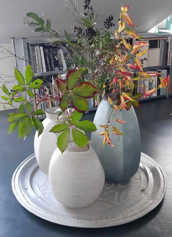 Bei uns beginnt sich Bei uns beginnt sich