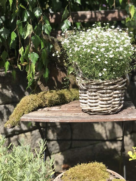 Bild von jüttine Bild von jüttine