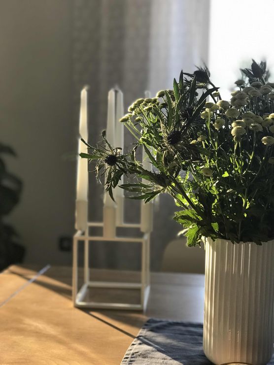 Bild von jüttine Bild von jüttine