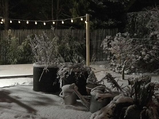 Bild von jüttine Bild von jüttine