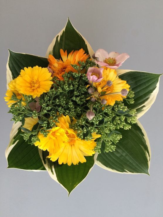 Sommer im Garten Sommer im Garten