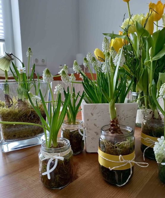 Bild von KaNiJu Bild von KaNiJu