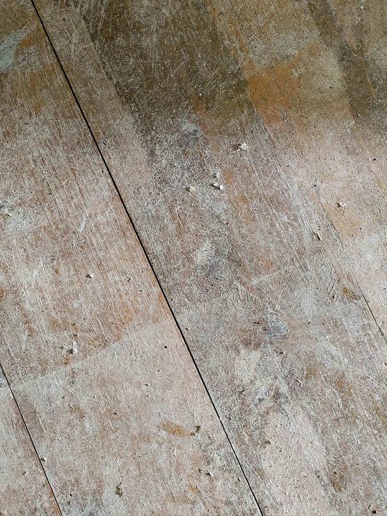 Bild von KaNiJu Bild von KaNiJu