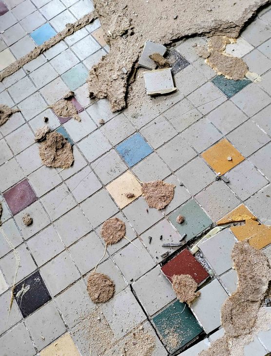 Bild von KaNiJu Bild von KaNiJu