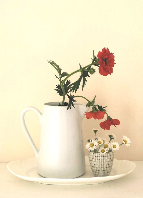 Wiesenblümchen.... Wiesenblümchen....