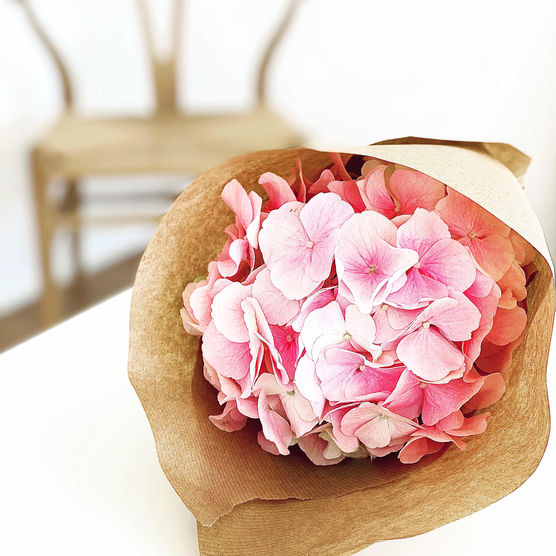 Bild von BeHeaven Bild von BeHeaven