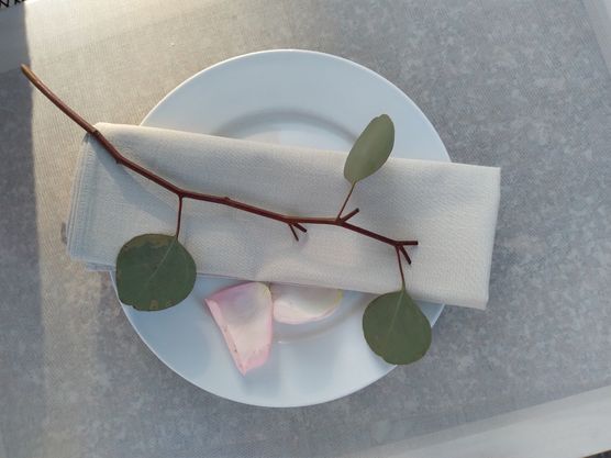 Leinenservietten sind die perfekte Leinenservietten sind die perfekte