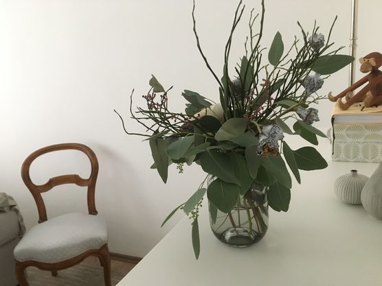 Der Affe hat alles im Blick Der Affe hat alles im Blick