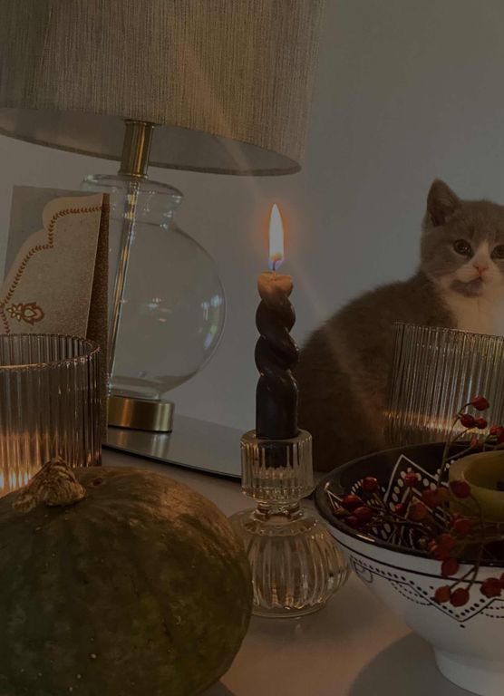 Bild von fritz_appartement Bild von fritz_appartement