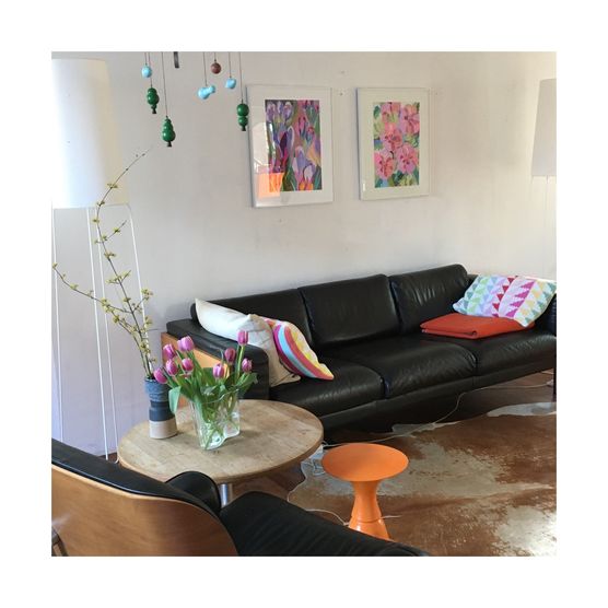 Frühlingsfarben, neue Blumenbilder, Tulpen Frühlingsfarben, neue Blumenbilder, Tulpen