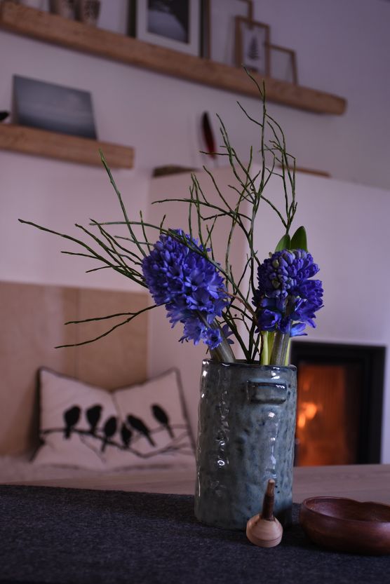 Gegensätze....In der Vase der Gegensätze....In der Vase der