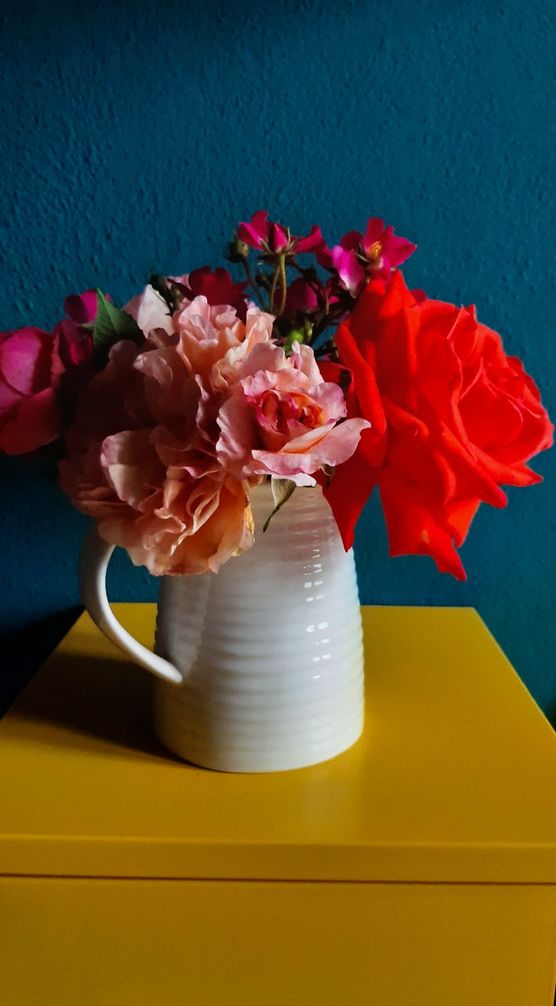 Farbexplosion!
Rosen aus dem Farbexplosion!
Rosen aus dem