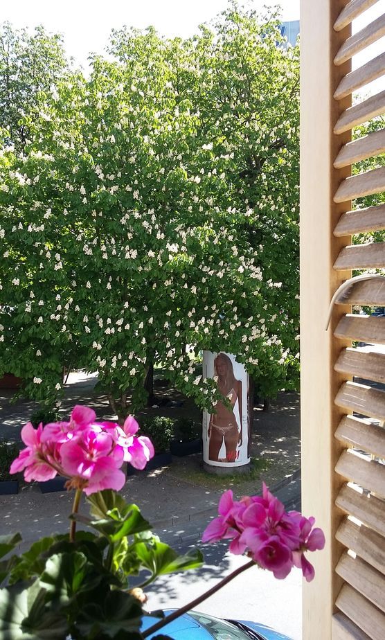 Und noch einmal. .. Und noch einmal. ..