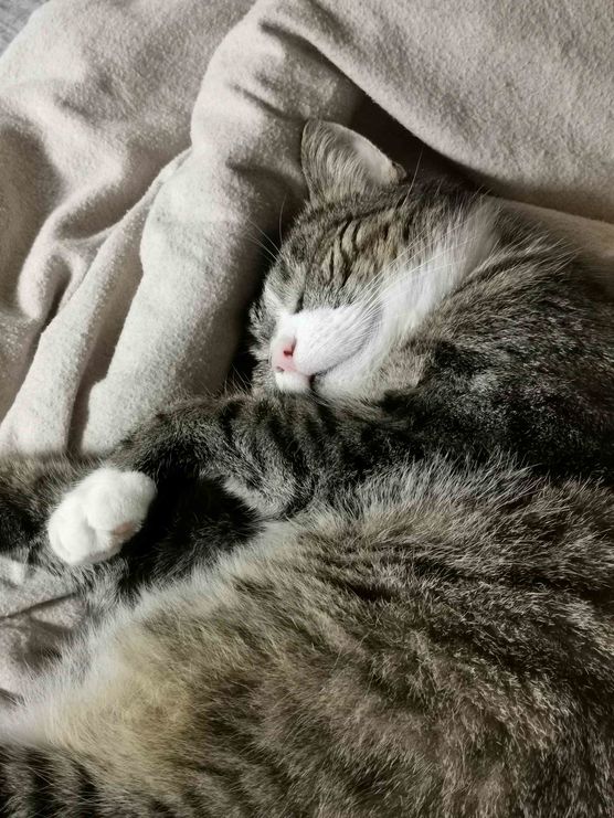 Bild von Augenweide Bild von Augenweide