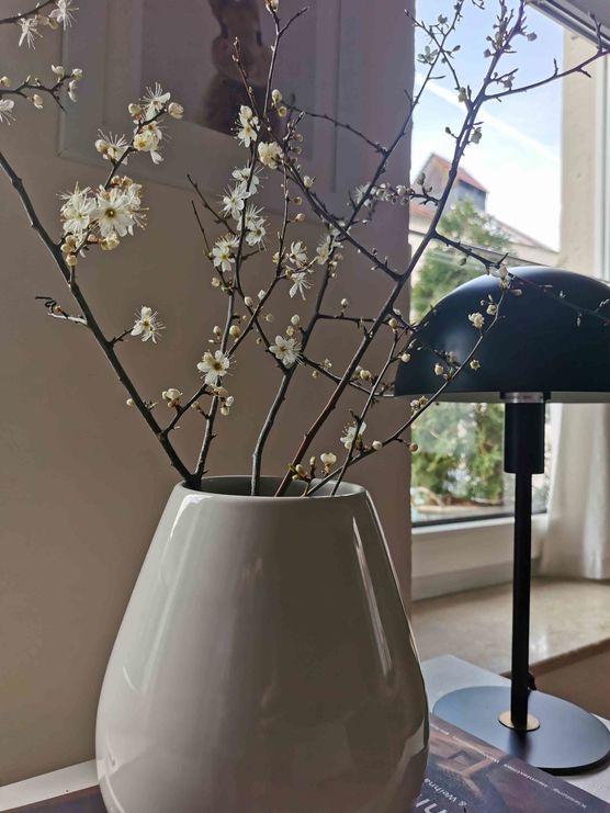 Bild von Augenweide Bild von Augenweide