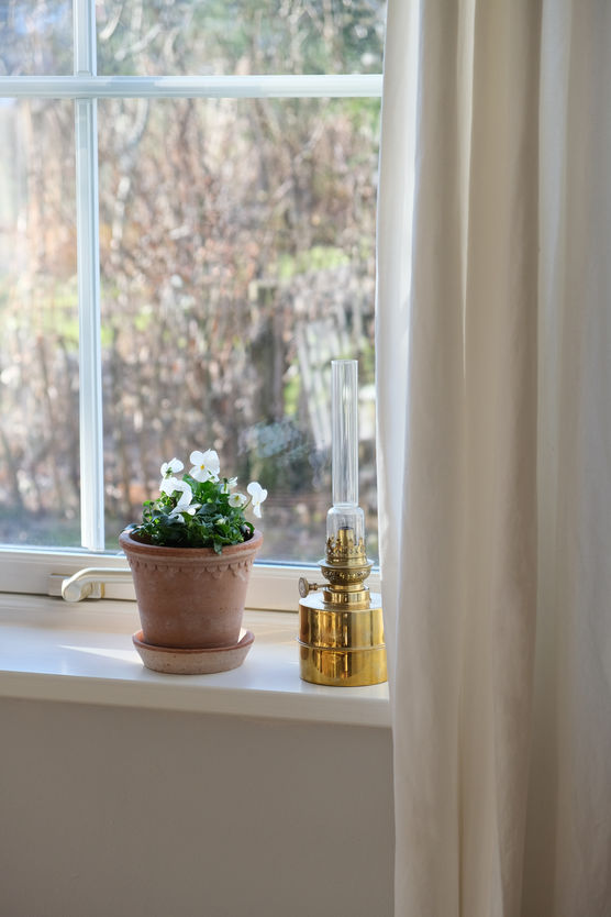 Frühlingssonne Frühlingssonne