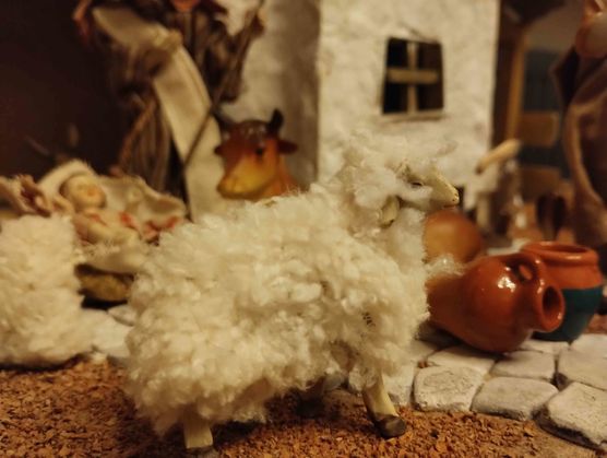 Bild von chilli.lilli Bild von chilli.lilli