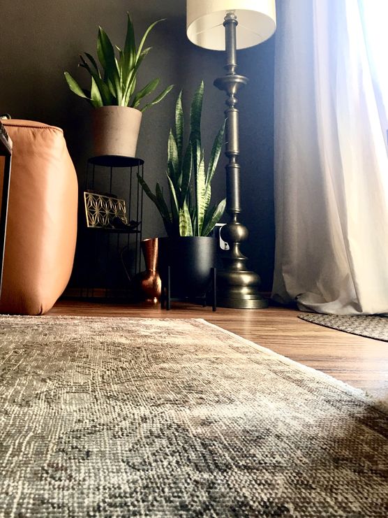 Im Wohnzimmer beim Ausgang Im Wohnzimmer beim Ausgang