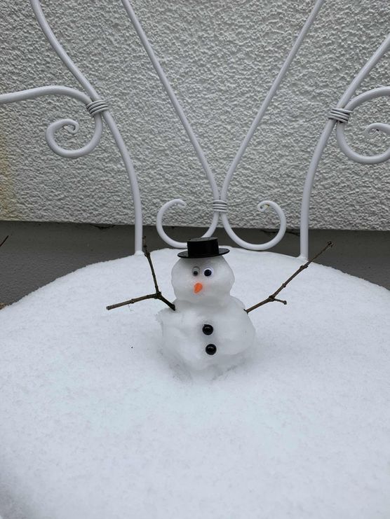 Bild von fly amanita Bild von fly amanita