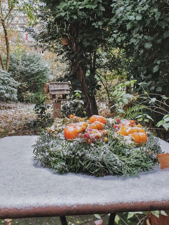 Heute morgen im Garten Heute morgen im Garten