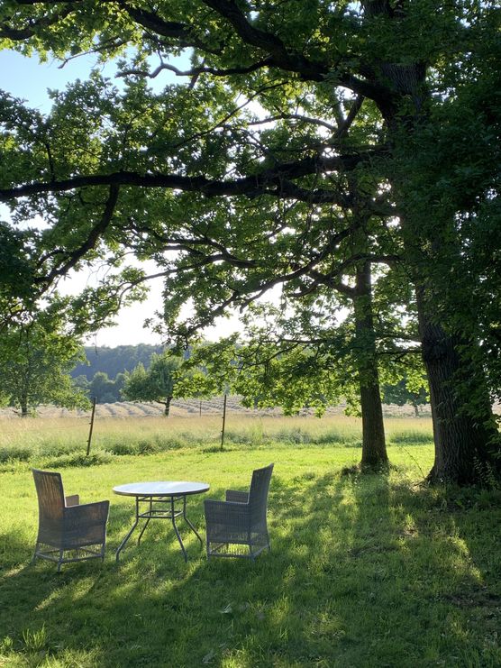 Unser Abendessenlieblingsplatz. Heute mit Unser Abendessenlieblingsplatz. Heute mit