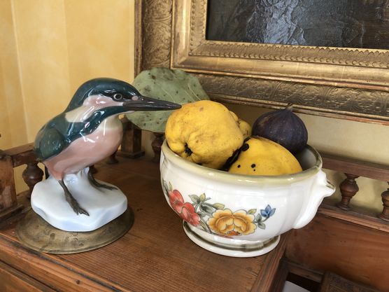 Der Eisvogel bewacht die Der Eisvogel bewacht die