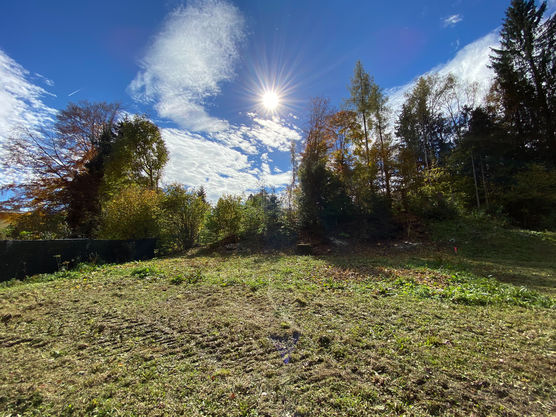 Hier entsteht in den Hier entsteht in den