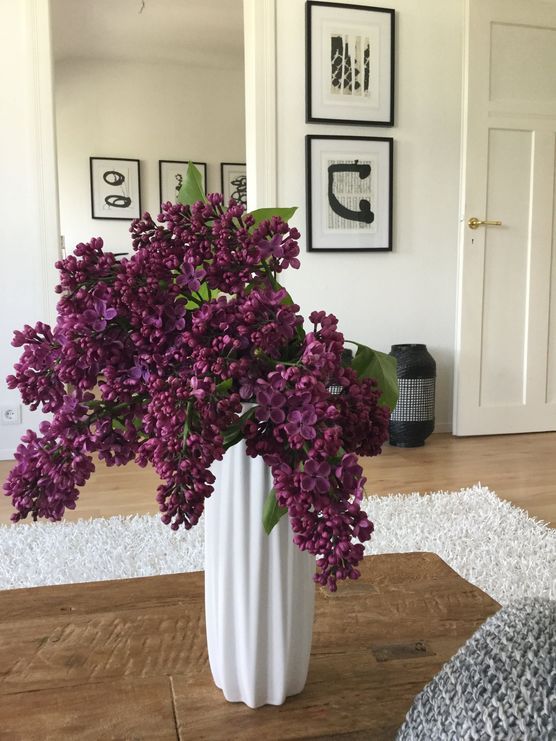 Blütenpracht Nummer 2...... Blütenpracht Nummer 2......