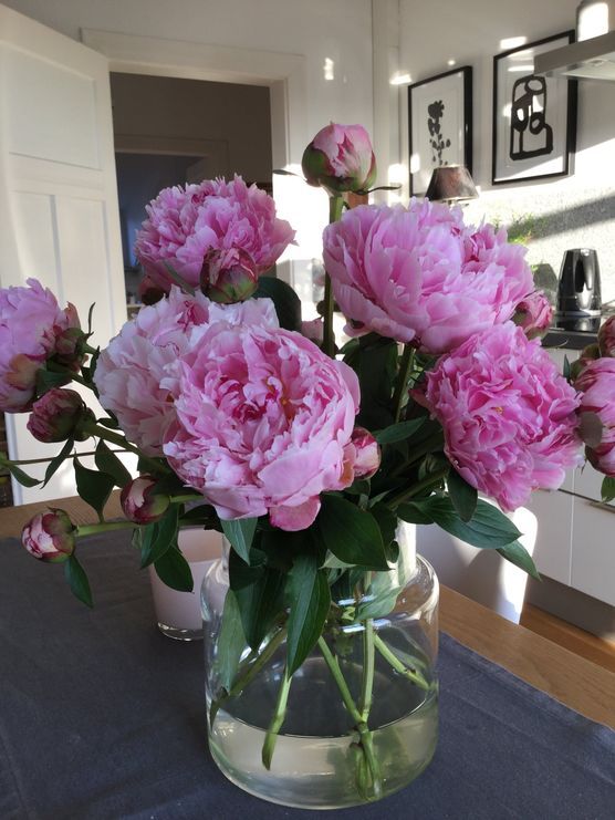 ...the last one....und auch noch mit Sonne..... ...the last one....und auch noch mit Sonne.....