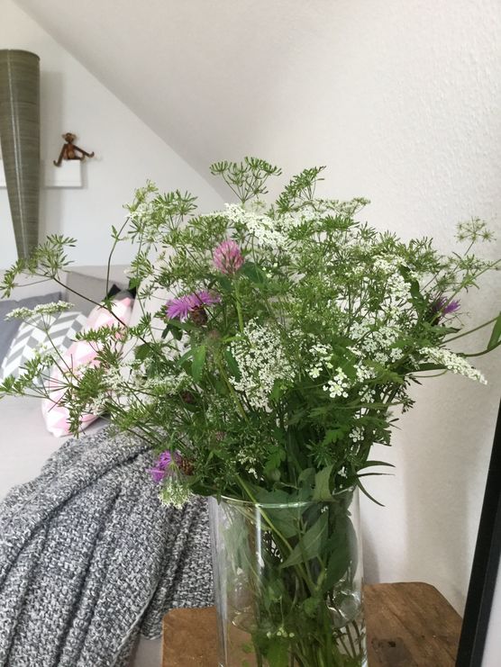 Rosa Farbtupfer.... Rosa Farbtupfer....