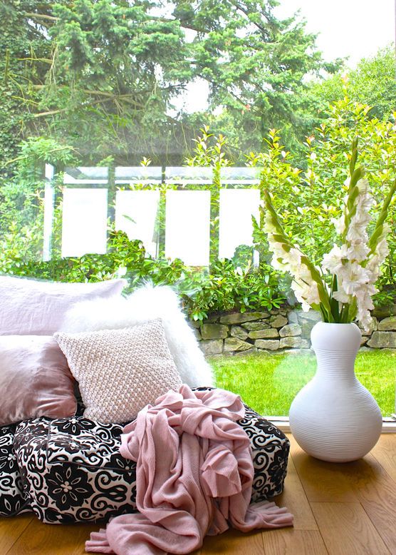 Gladiolenliebe ?! Gladiolenliebe ?!