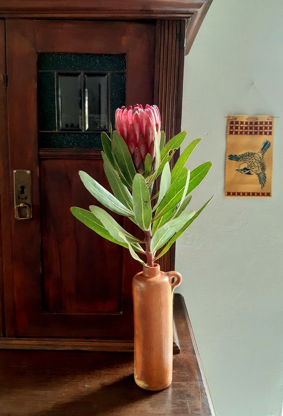 Herbst
Und ab heute Herbst
Und ab heute