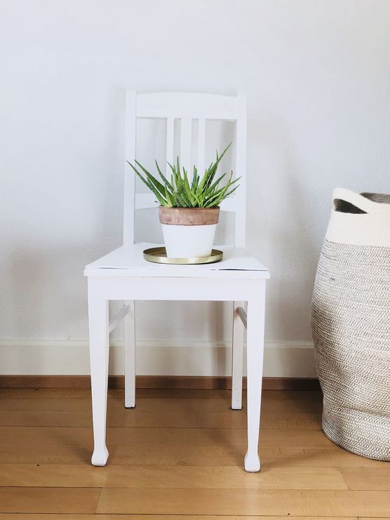 Meine kleine Aloe Vera. Meine kleine Aloe Vera.