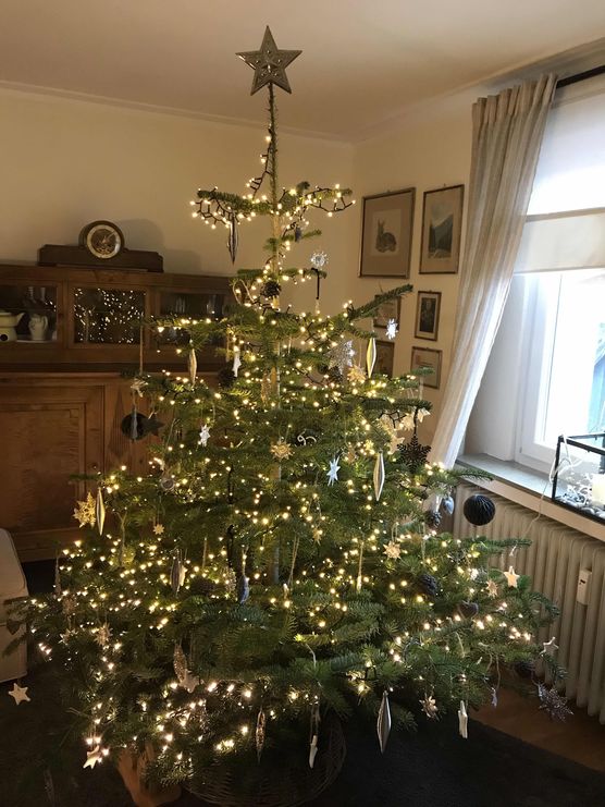 Bild von RosasLila Bild von RosasLila