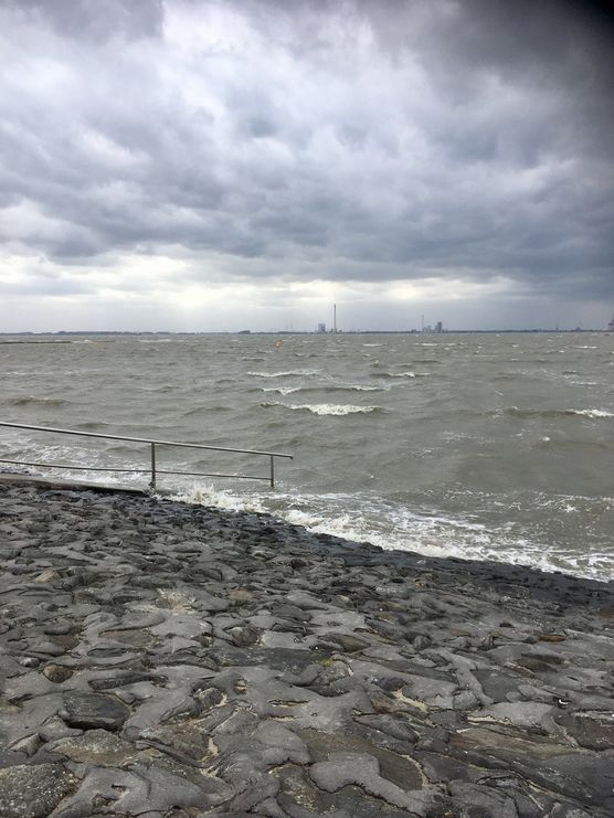 Fifty shades of grey... Fifty shades of grey...