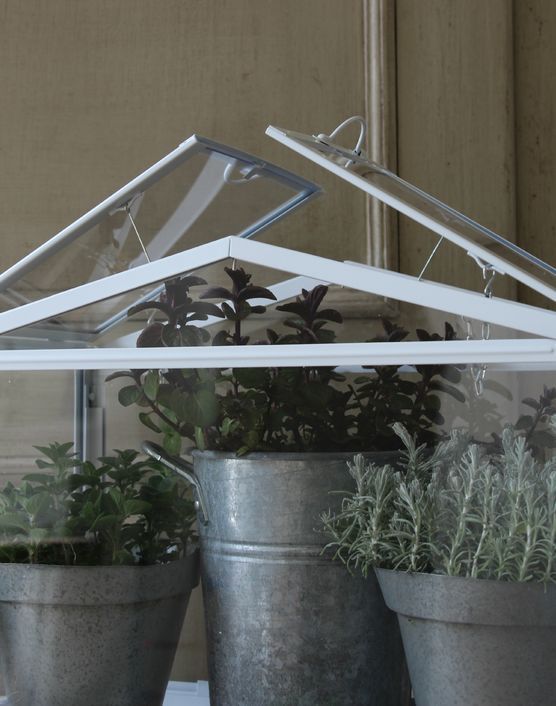 GREEN LIVING GREEN LIVING