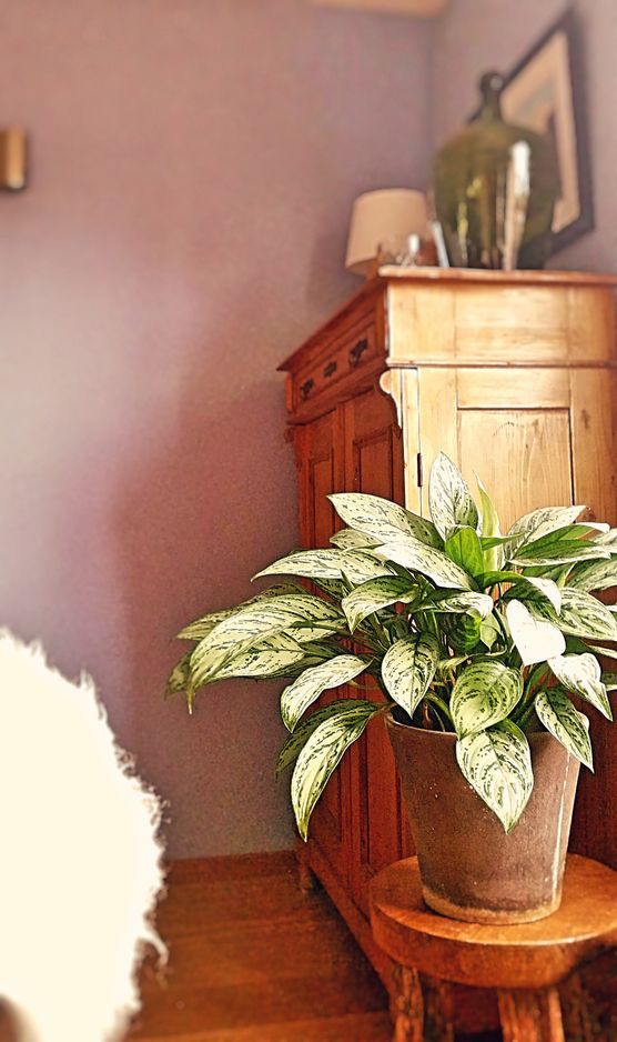 Fotofrage: Leben mit dem Grünen Fotofrage: Leben mit dem Grünen