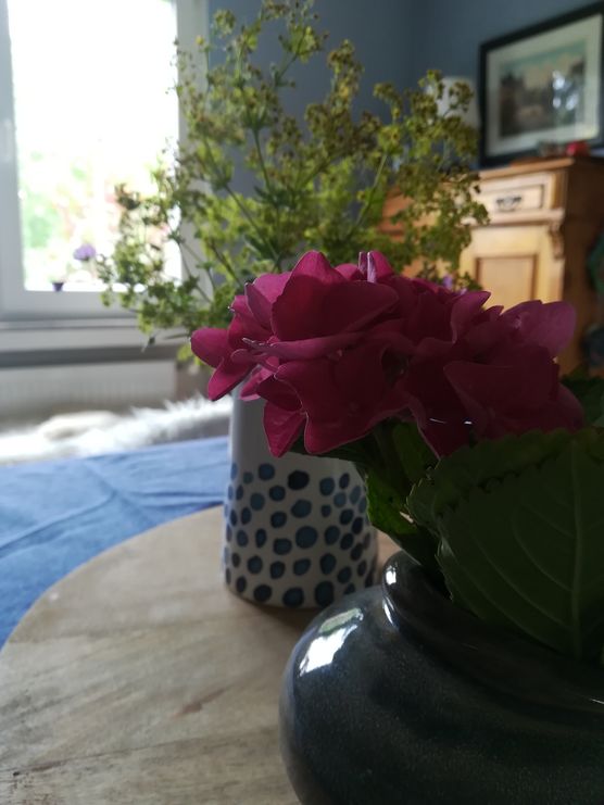 Bild von julialiebtbunt Bild von julialiebtbunt