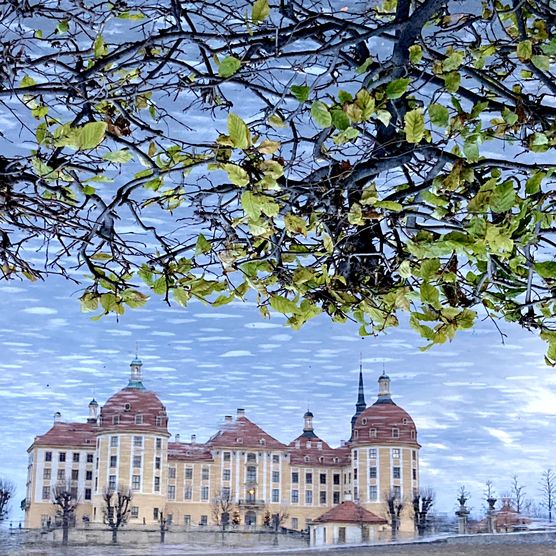 Smartphone-Kunst Smartphone-Kunst