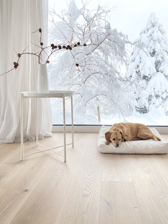 ❄️❄️❄️ ❄️❄️❄️